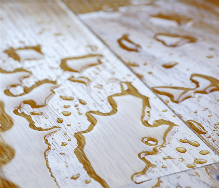 puddles of water covering hardwood floor